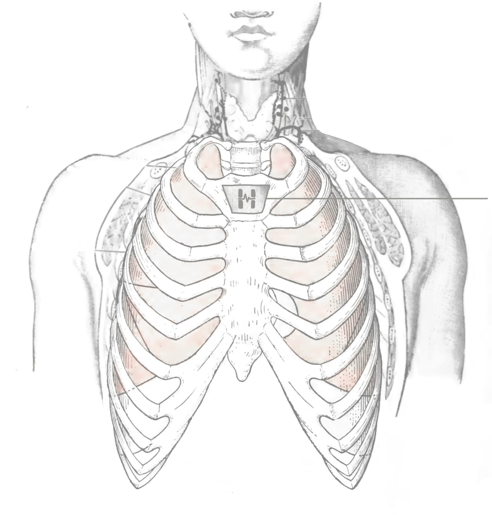 feature-image